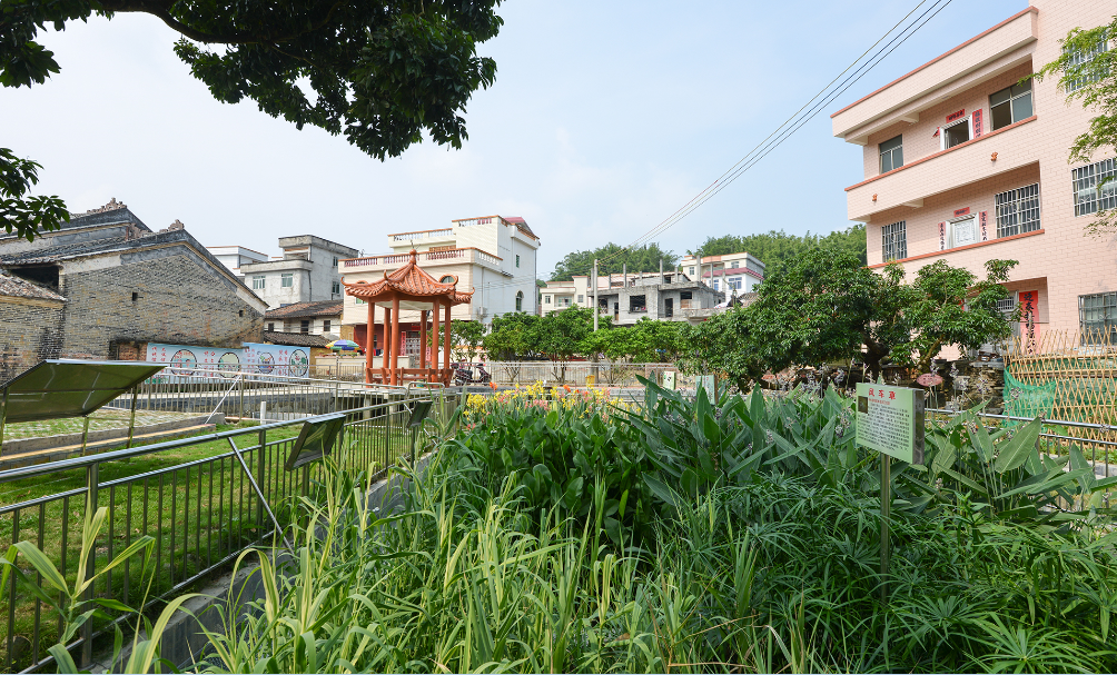 走進新農(nóng)村：早禾村之生態(tài)景觀--黎鎮(zhèn)芳.png